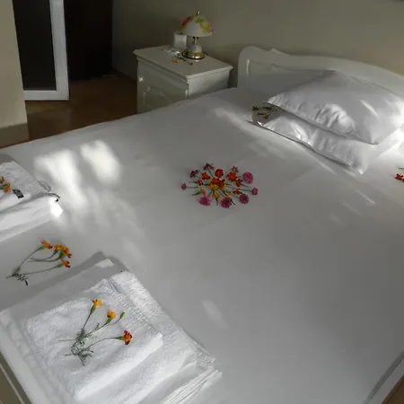 Case de vacanță Letuga Holiday