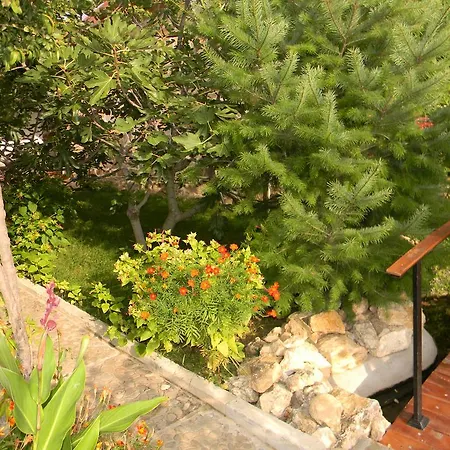 Letuga Holiday Case de vacanță *